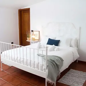 La Macadamia , La Laguna (Tenerife) España